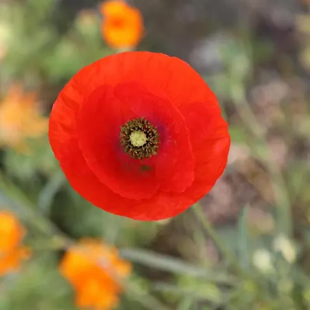 Holiday home Montgolfiere Chatellerault